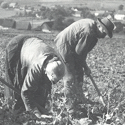 August und Elisabeth H�mel: Landwirtschaft in Lichenroth